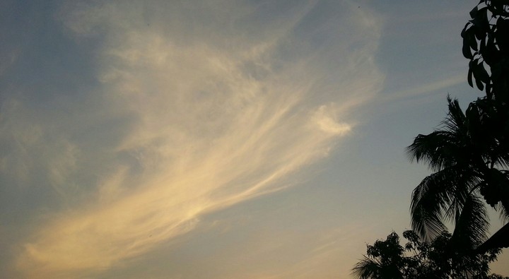 Sky