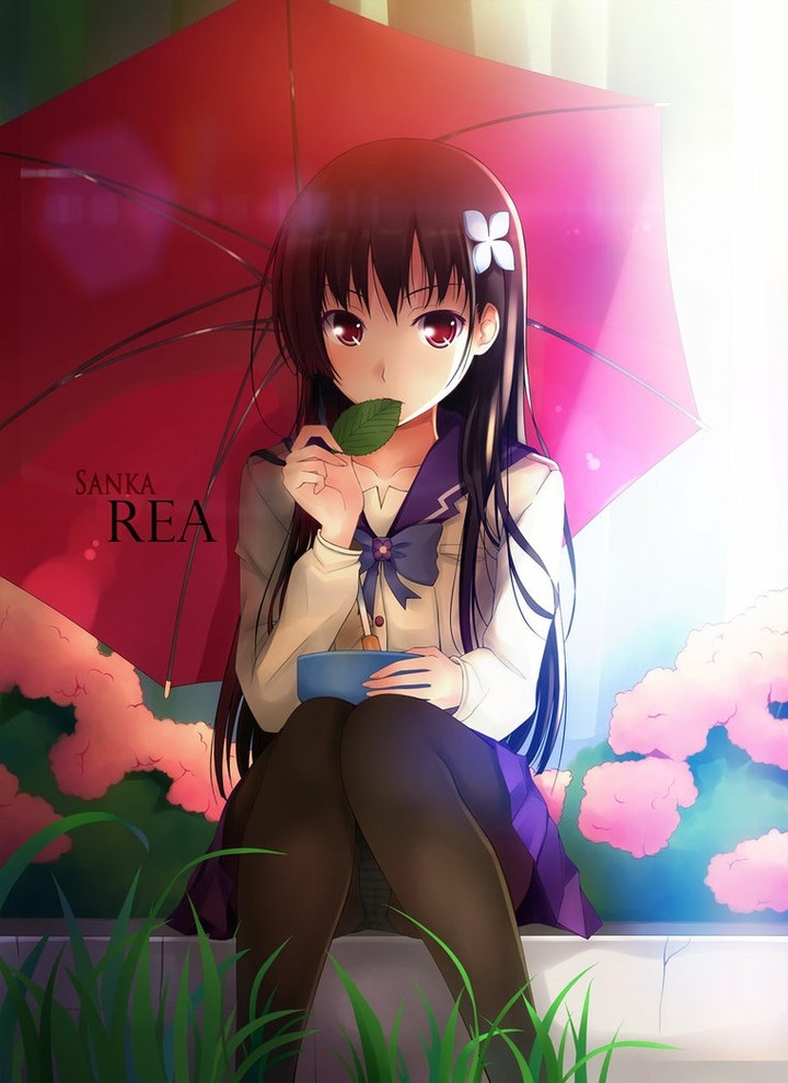sankarea