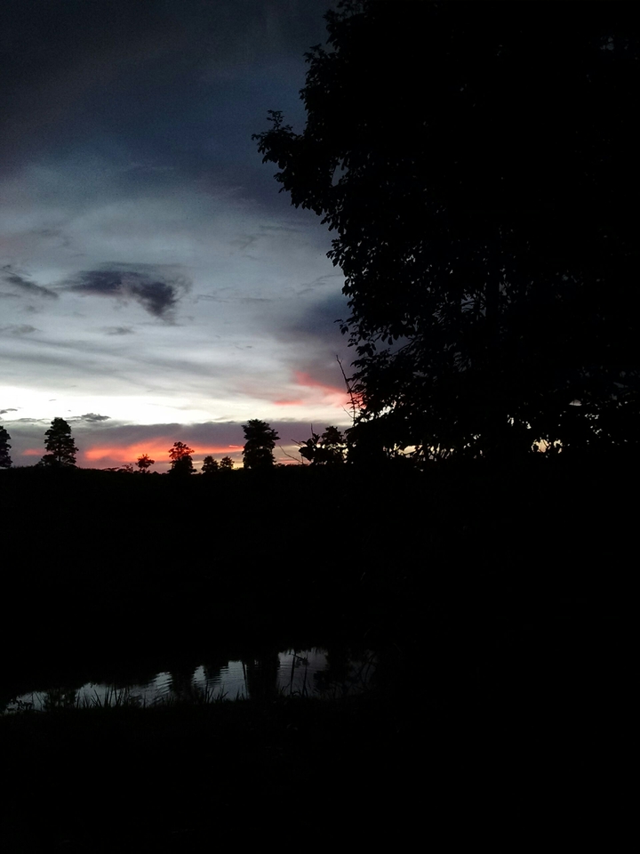 por do sol Amazonas