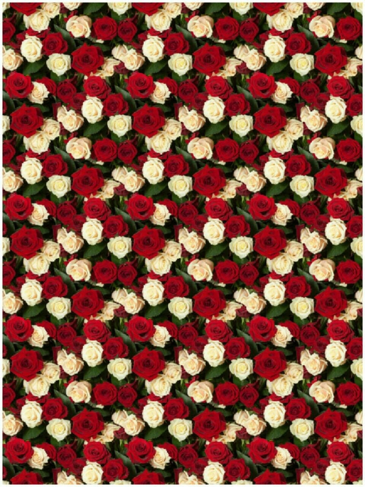 Roses