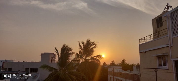 Sunset - Nature - Love - Feeling Fresh - Energy
