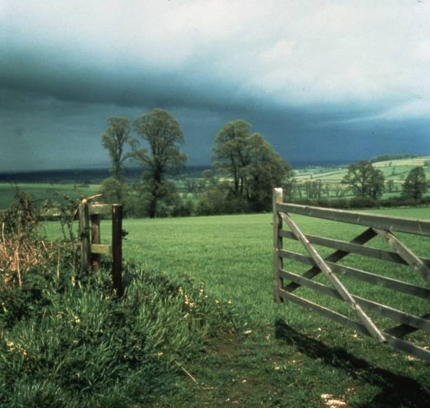 Stormy Skies
A country scene taken against a stormy sky.