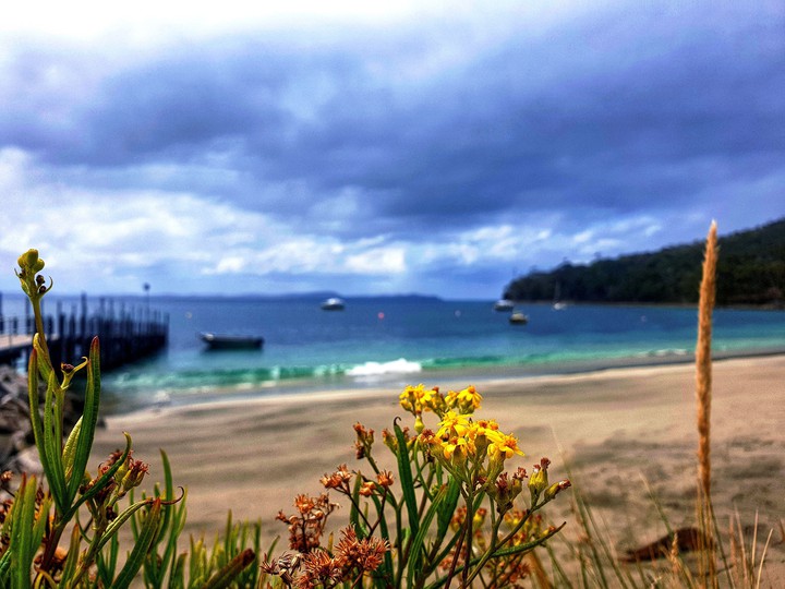 Bruny Island