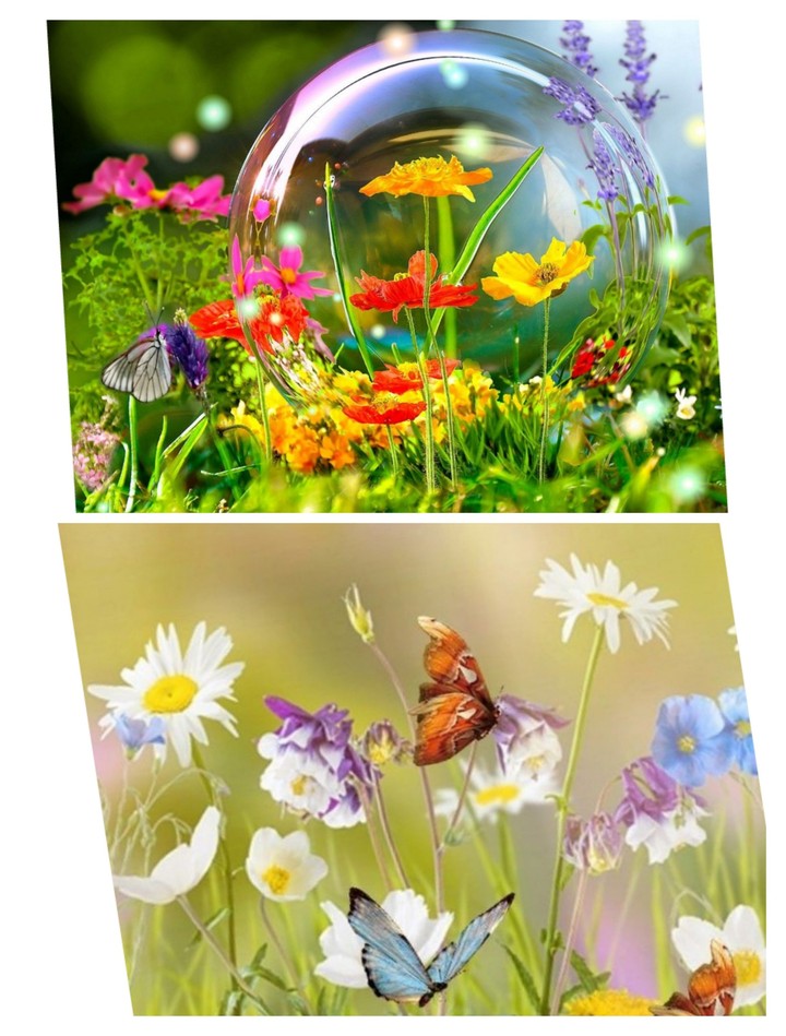 spring with butterfly