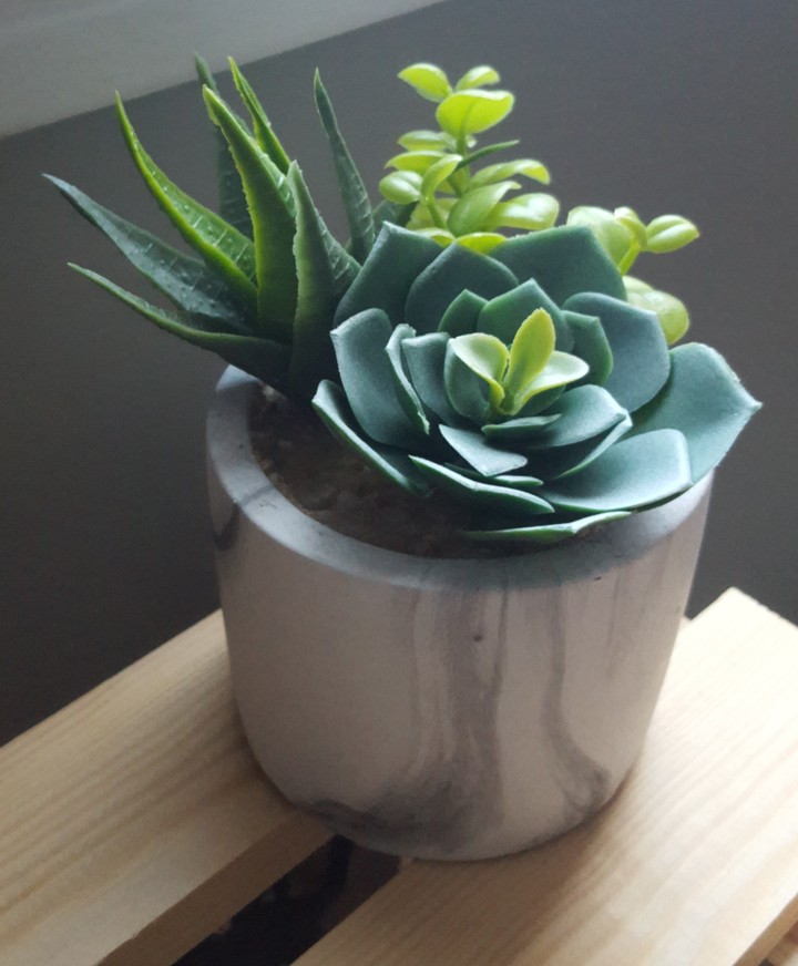 Plants