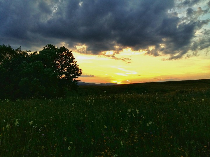 NATURE-TRANSILVANY