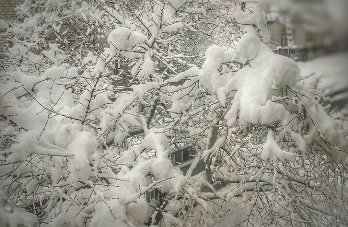winter