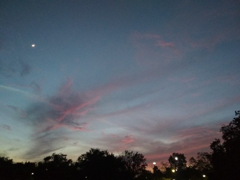 Evening Sky