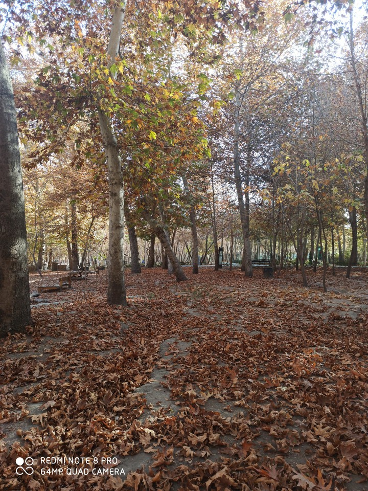 #fall