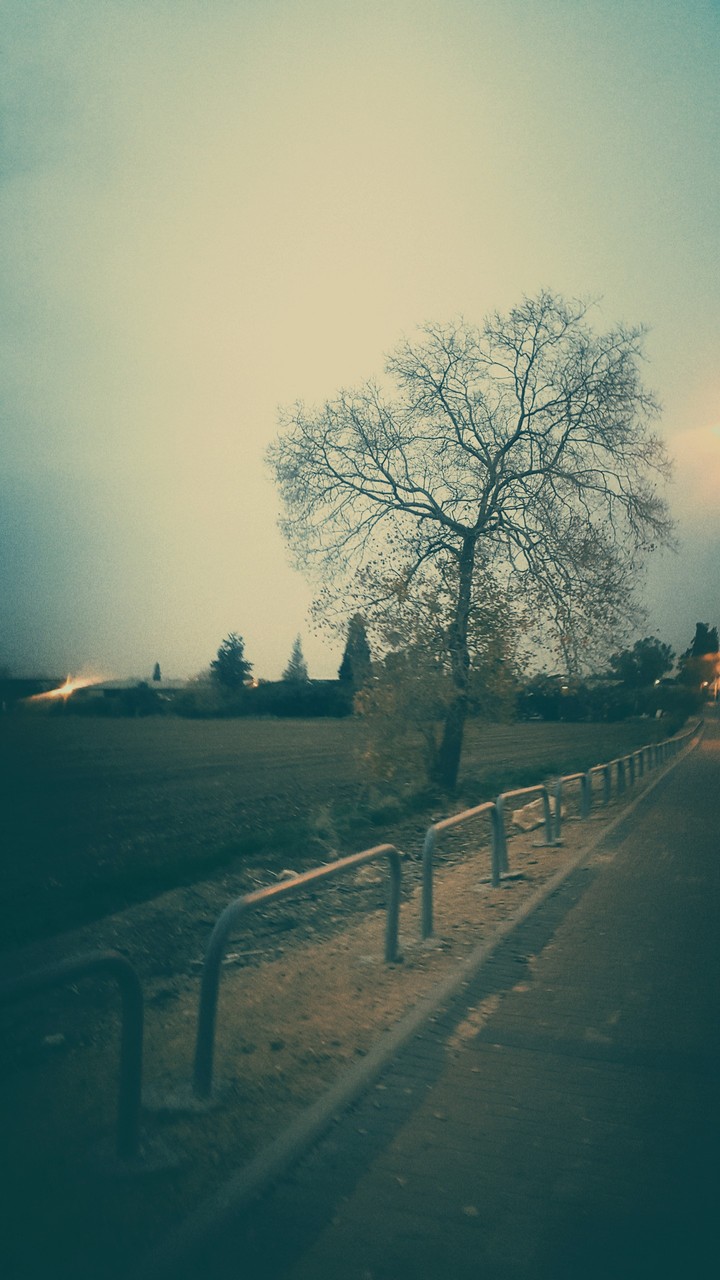 a place without people