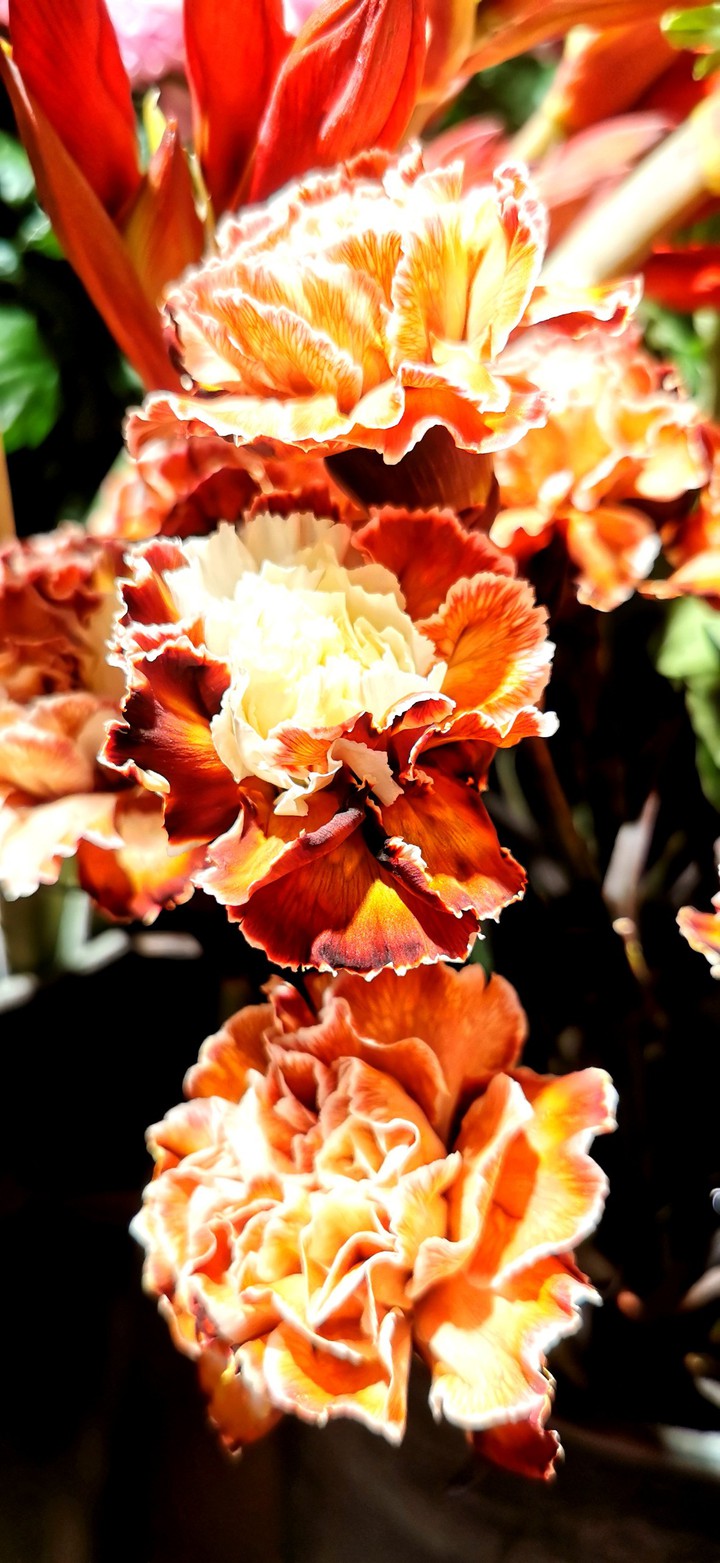 flowers