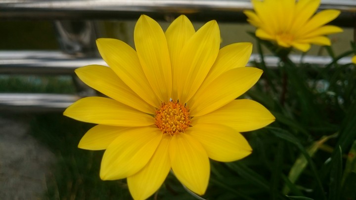 #yellow