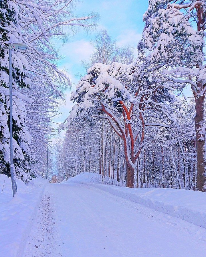 winter morning ☀️