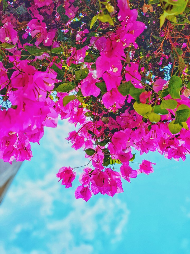 A perfect contrast ;)
