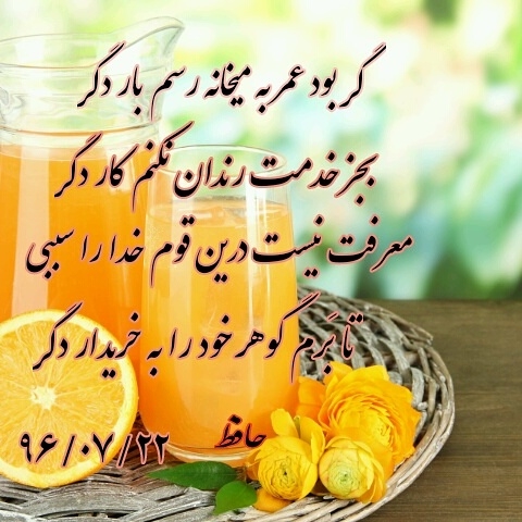 متن نگار