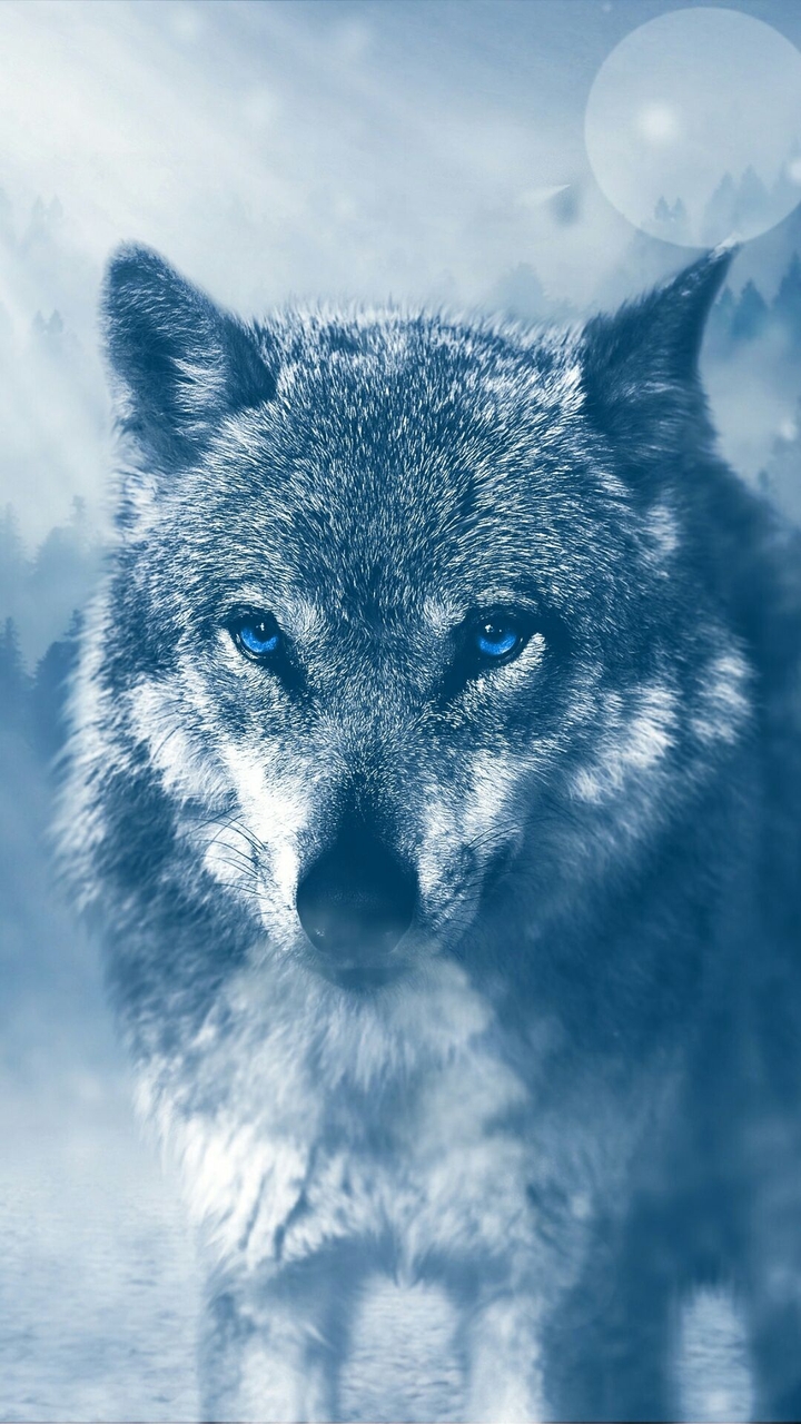 Wolf