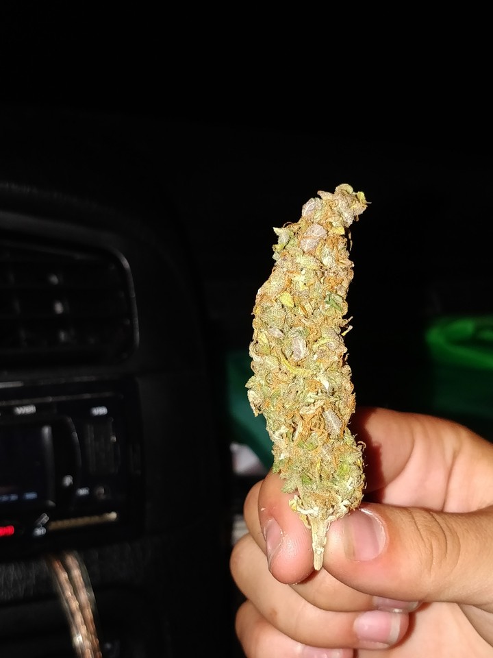 Marijuana