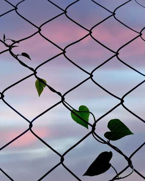 fence, mesh wallpapers