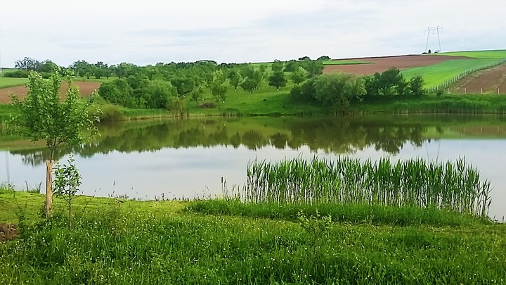 Hometown lake