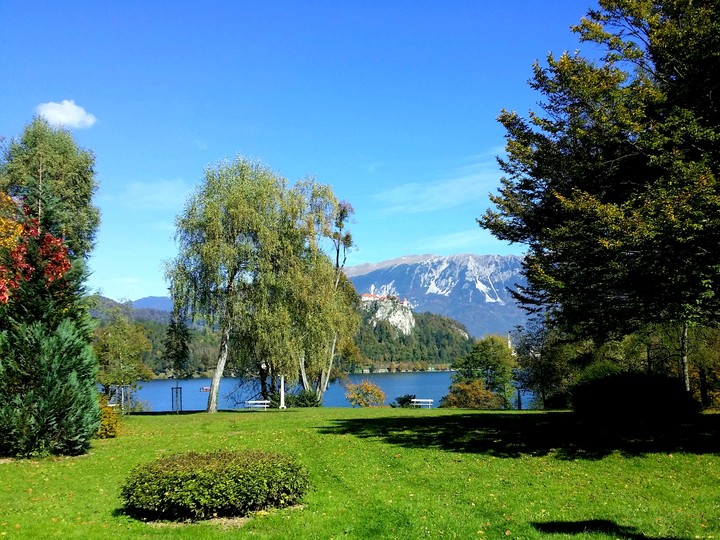 Bled