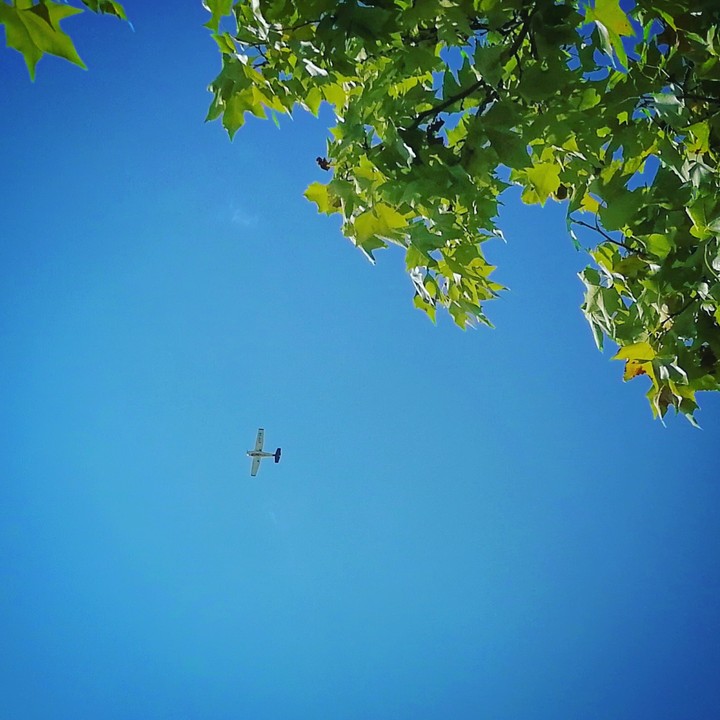 Sky