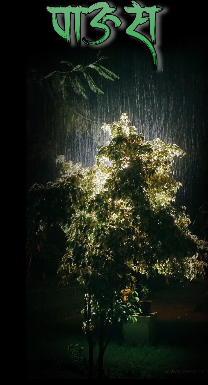 rainy night