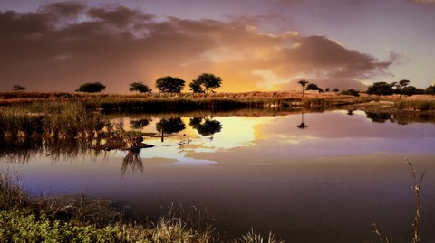 Sunset