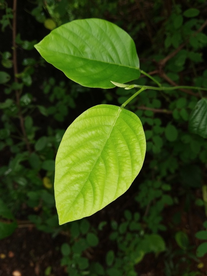 leave