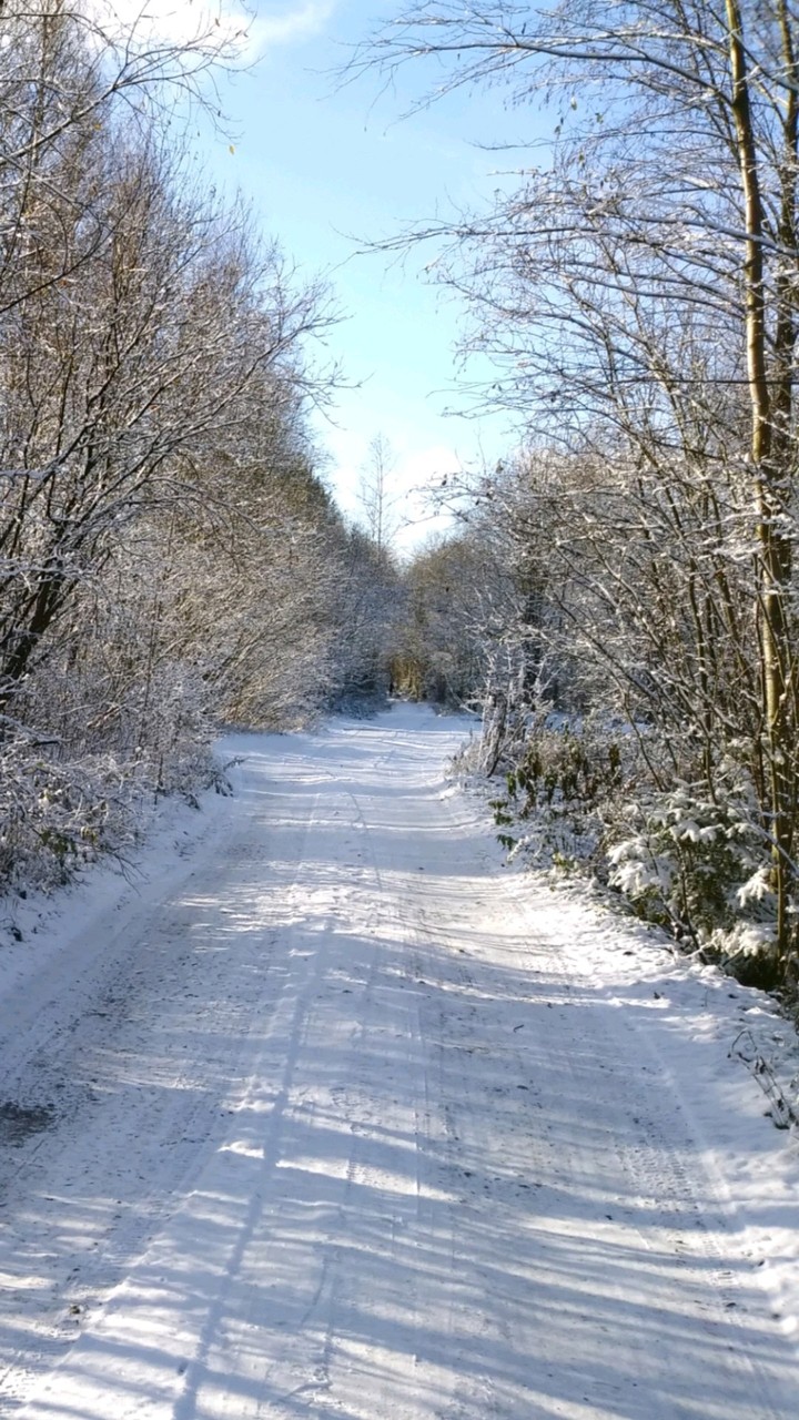 winter