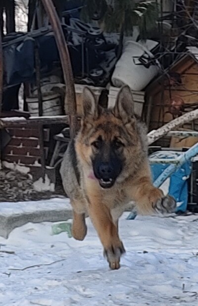 красотка