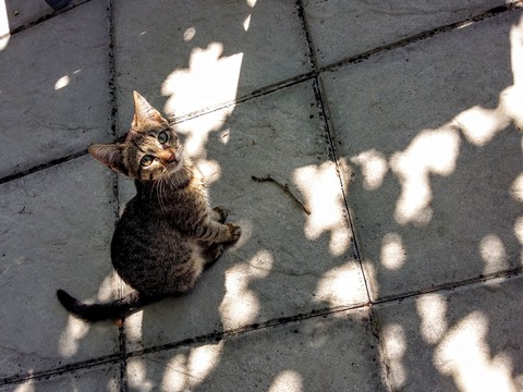 sun light