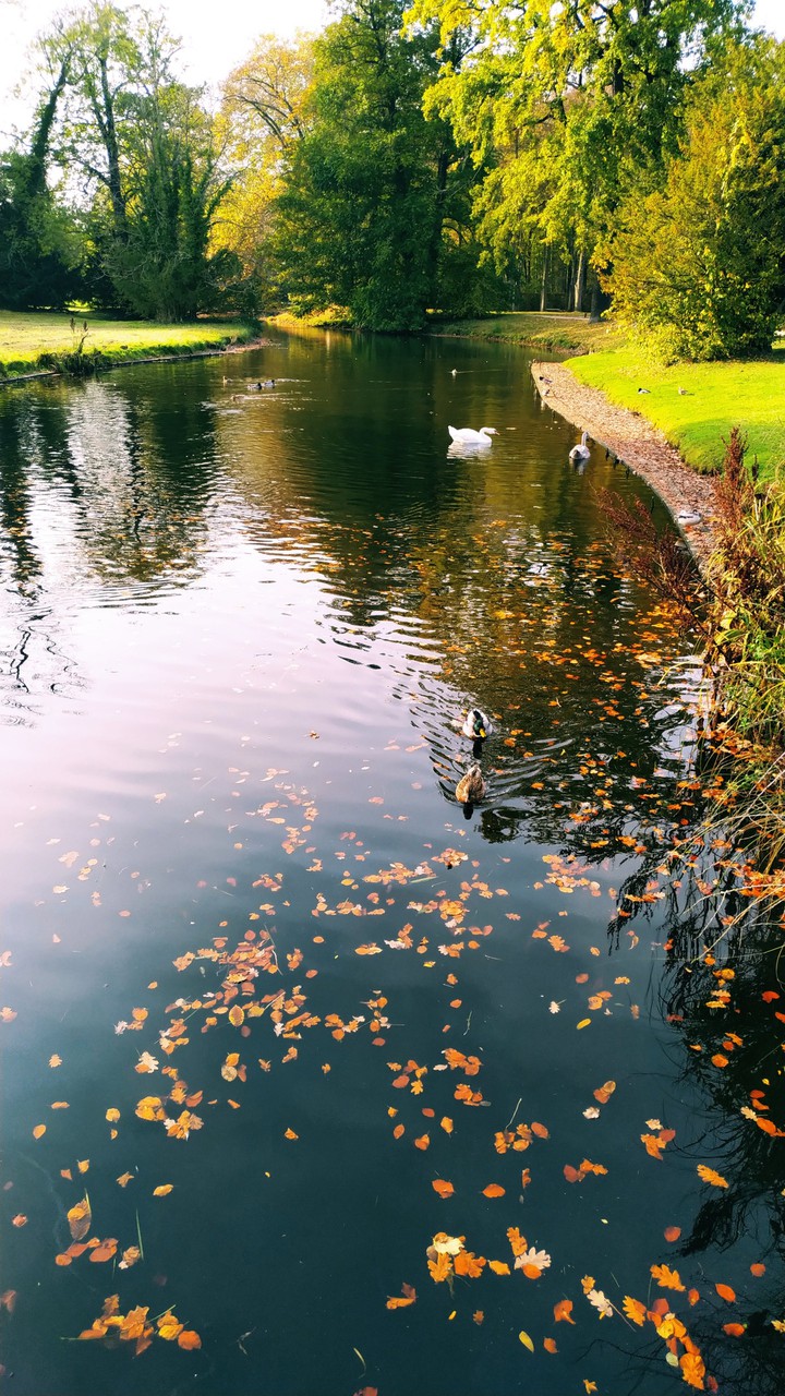 Potsdam