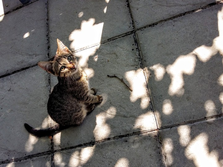 sun light
