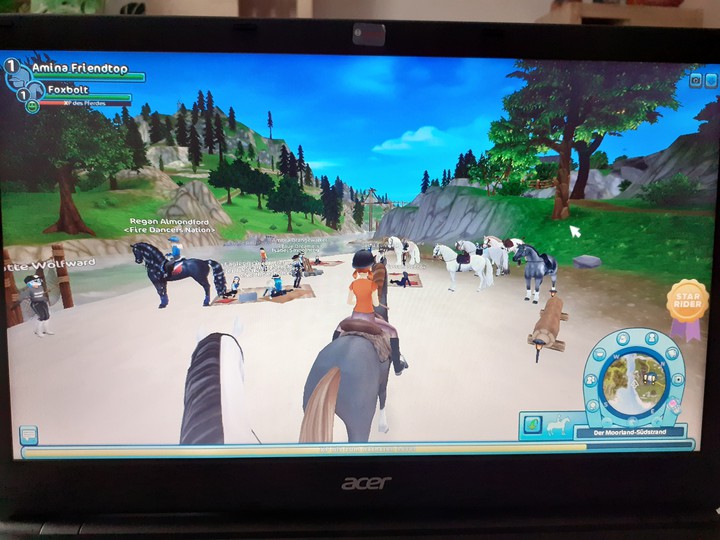 StarStable( zocken)