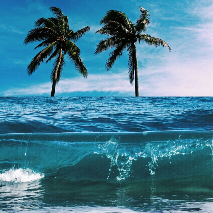 Ocean