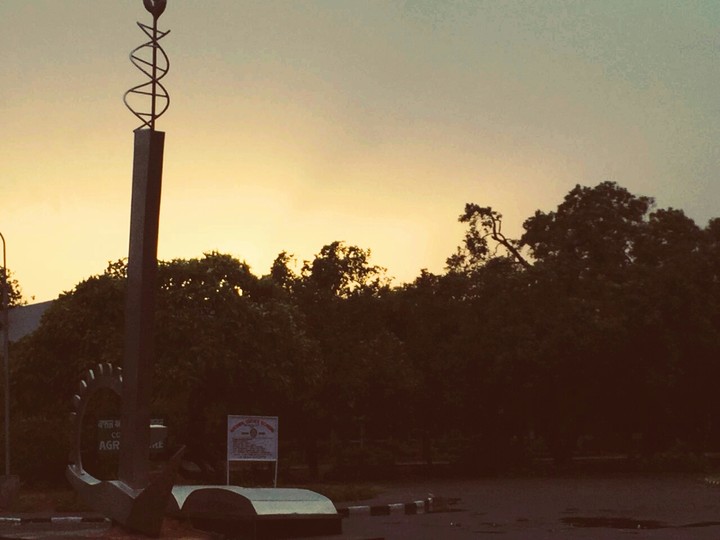 punjab agricultural university