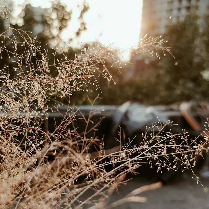 every aspect has a very beautiful humid