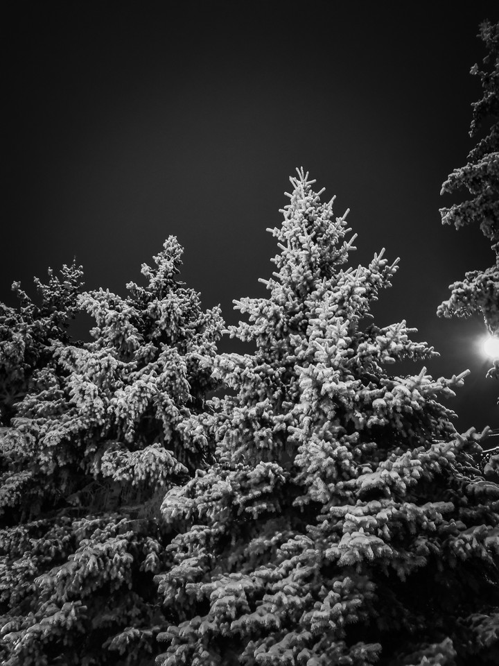 bw