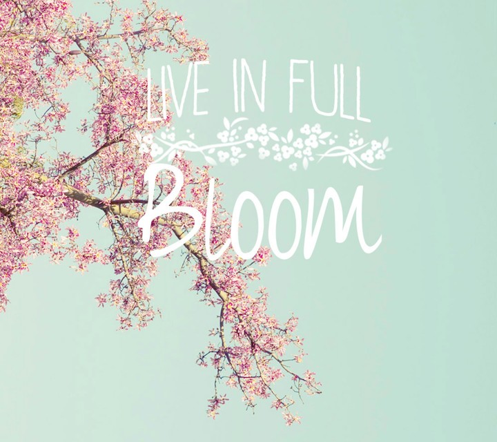 Like blossom 