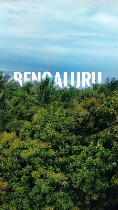 Nature in Bangalore