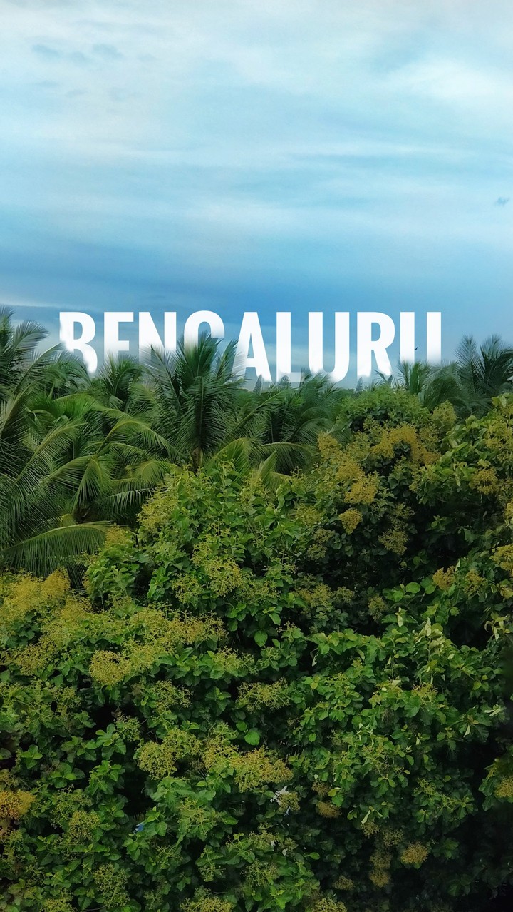 Nature in Bangalore