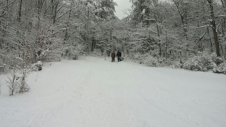 winter in west virginia