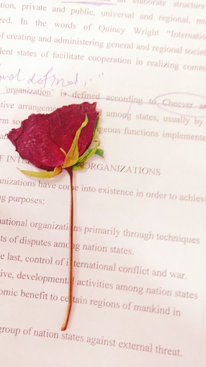 Red Rose