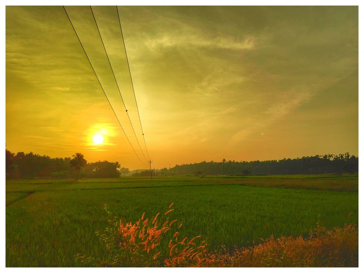 evening