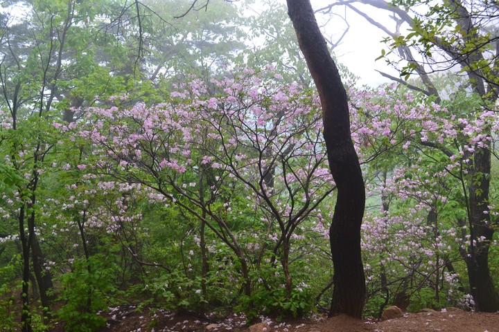 풍경이미지