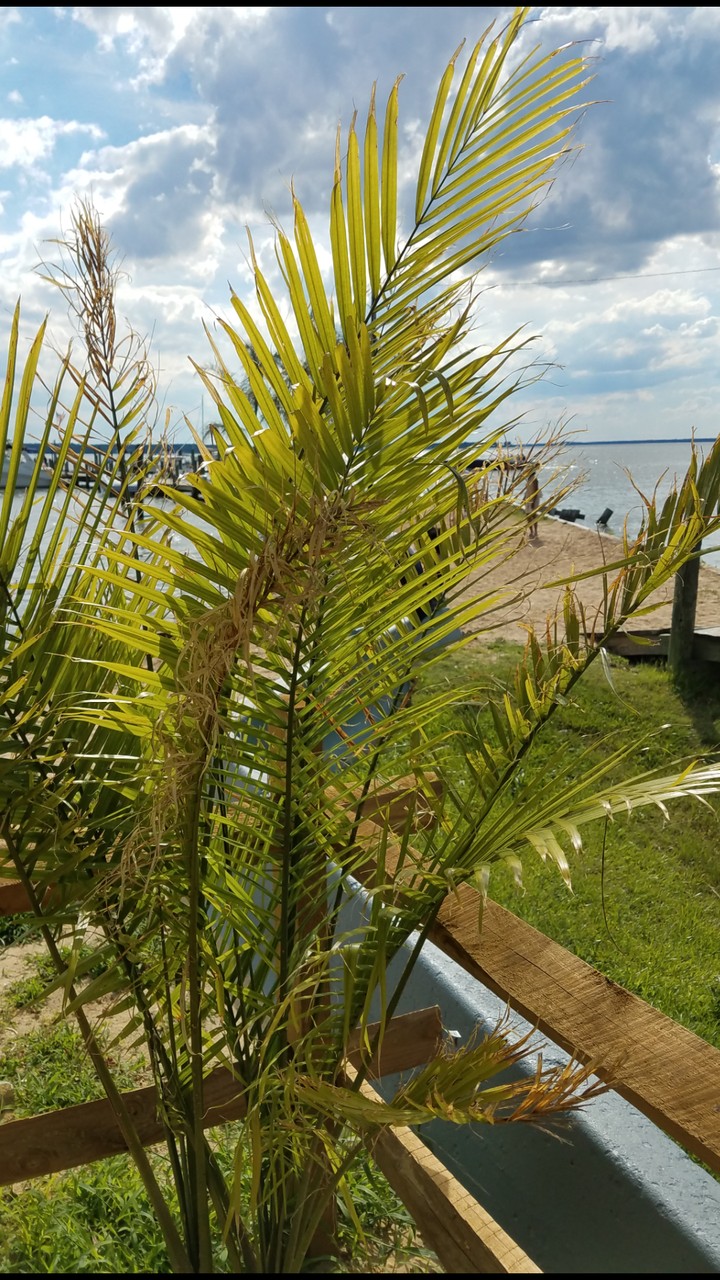#relaxing