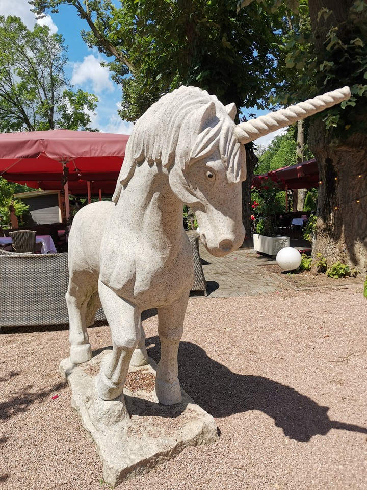 ××× unicorn ×××