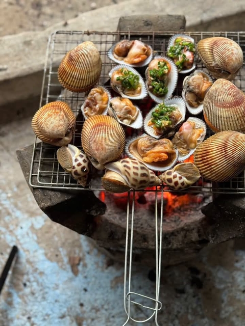 seafood, seashell háttérképek