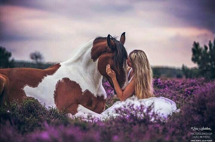 With Horse