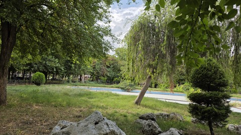 Tree, Natural_environment, Grass